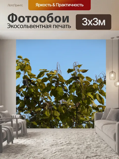 Фотообои Труба