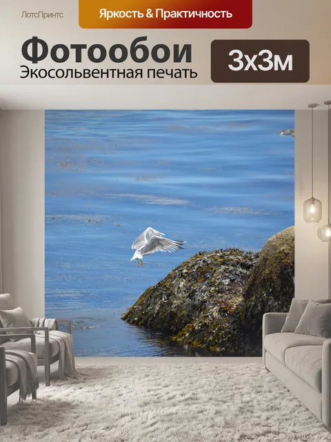 Фотообои Посадка чайка.