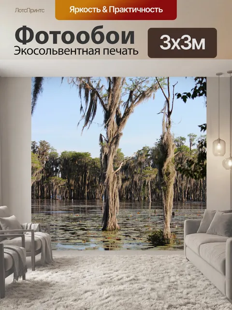 Фотообои Болото кипарисов