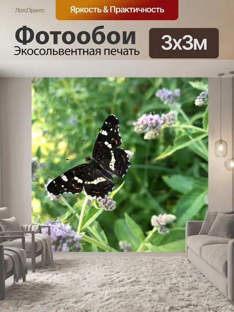 Фотообои Бабочка