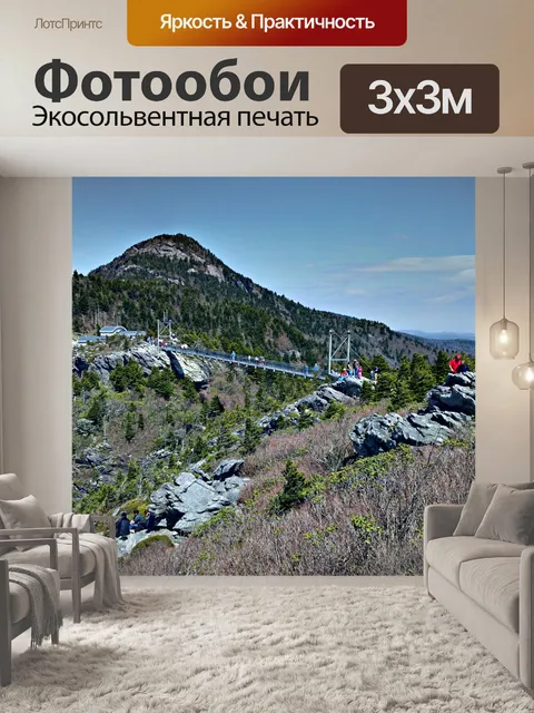 Фотообои Mile High моста