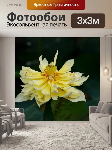 Фотообои Золотой лотос