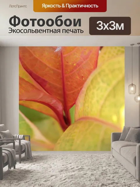 Фотообои красные и желтые листья