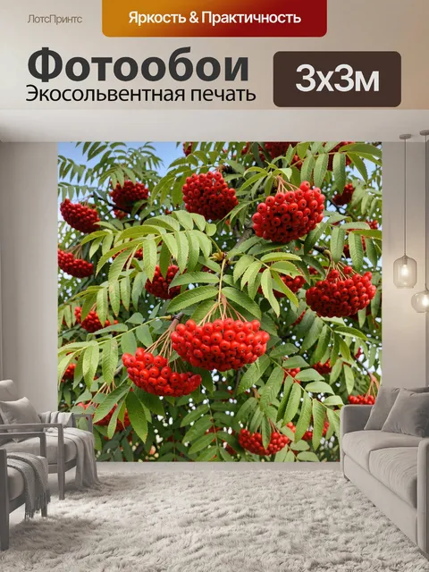 Фотообои Красные гроздья рябины на ветвях