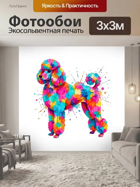 Фотообои Яркий пудель в брызгах краски