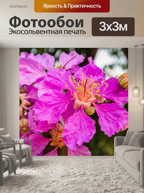 Фотообои розовый цветок