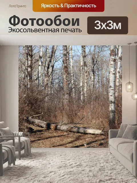 Фотообои Упавшее дерево в лесу