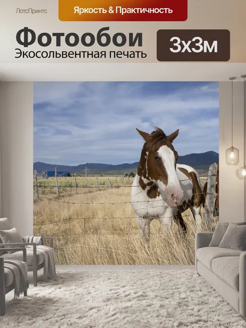 Фотообои коричнево-белая лошадь