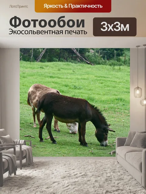 Фотообои ослы пасутся на зеленом лугу