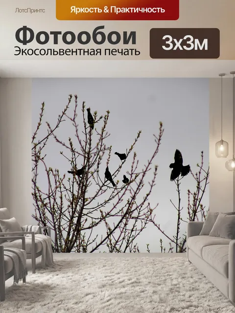 Фотообои Птицы