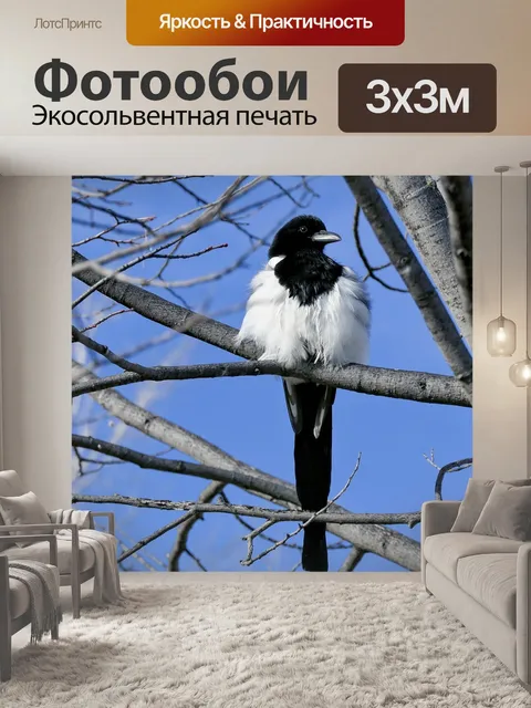 Фотообои Птица