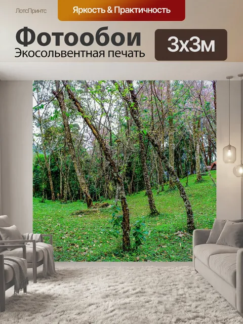 Фотообои Kewfin гора Лампанг, Таиланд