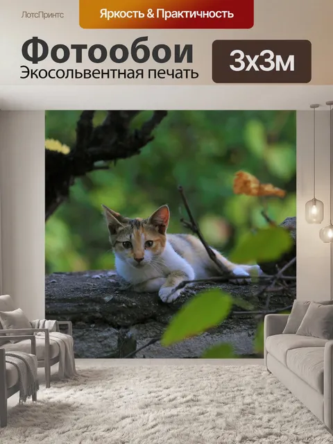 Фотообои Кошка