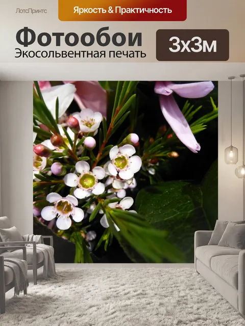 Фотообои Крошечные круглые белые цветы