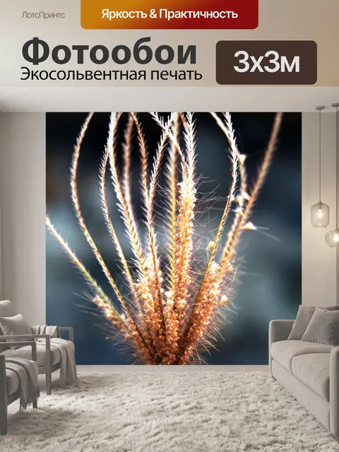 Фотообои Сухой дикий цветок