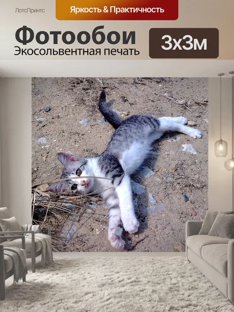 Фотообои Китти