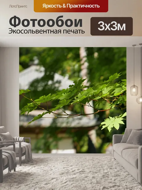 Фотообои Зеленый лист