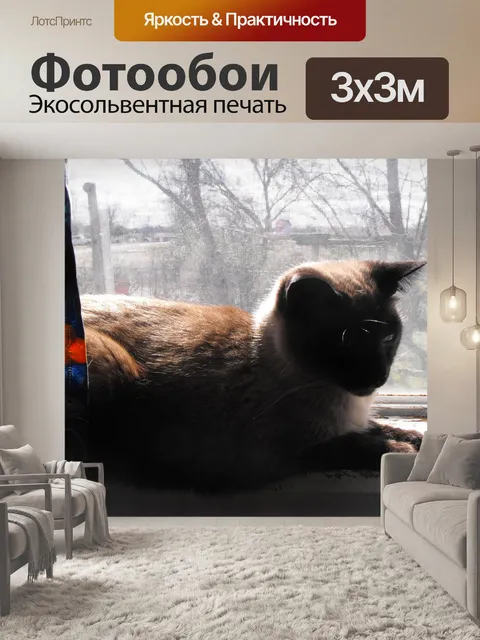 Фотообои Кошка на подоконнике