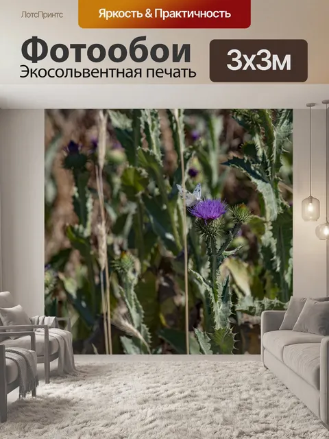 Фотообои Белокочанная капуста