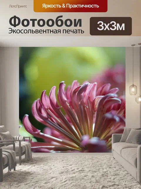 Фотообои Фиолетовый дейзи
