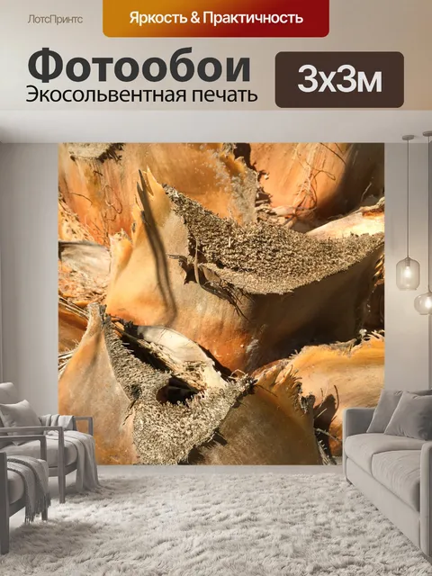 Фотообои Палм текстуры ствола дерева