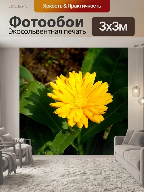 Фотообои Цветы