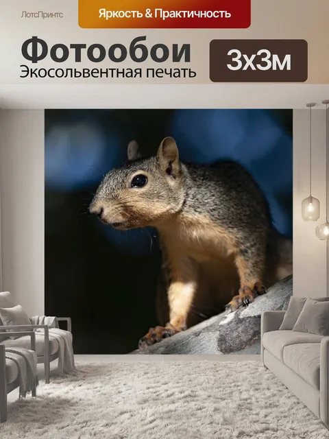 Фотообои Брайантс Фокс Белка
