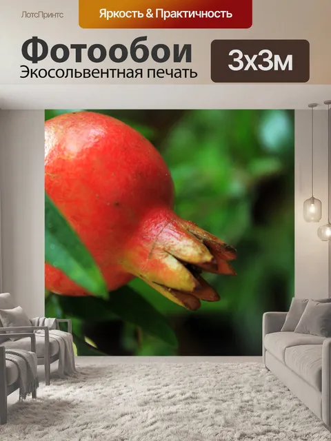 Фотообои красные фрукты