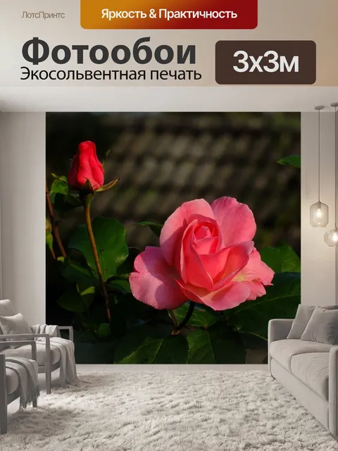 Фотообои Природа