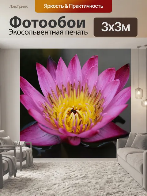 Фотообои Крупный план