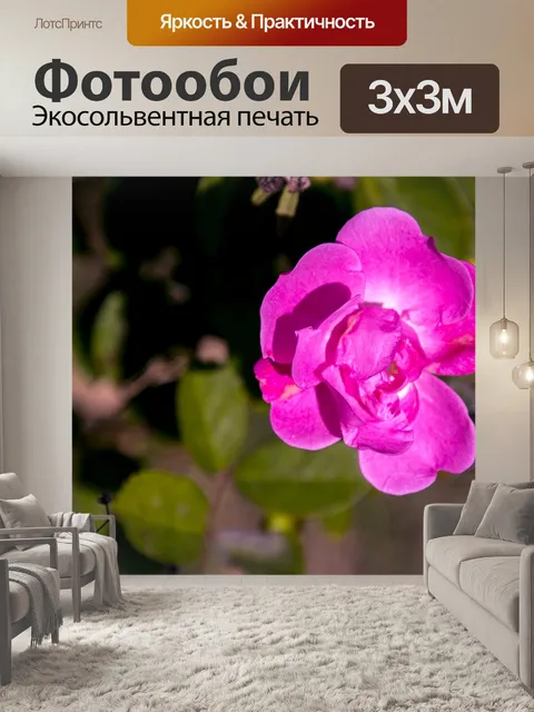Фотообои Роза