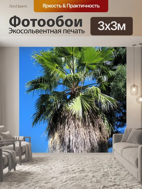 Фотообои высокий ладонь на фоне голубого неба