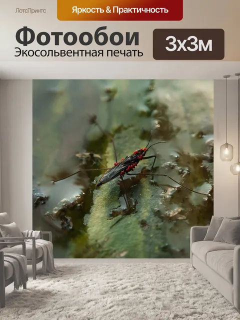 Фотообои Страйдер
