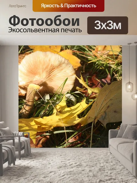 Фотообои Гриб