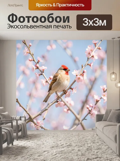 Фотообои Птица на цветущей ветке