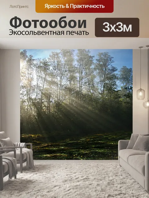 Фотообои Туман