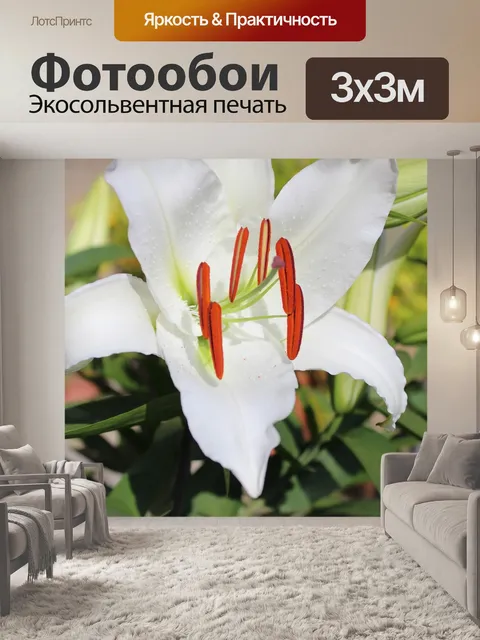 Фотообои Лили