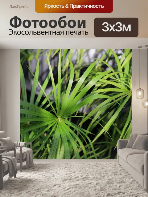 Фотообои Тропические пальмовые листья фон