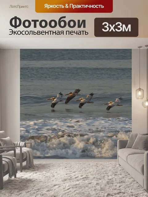 Фотообои Коста-рика