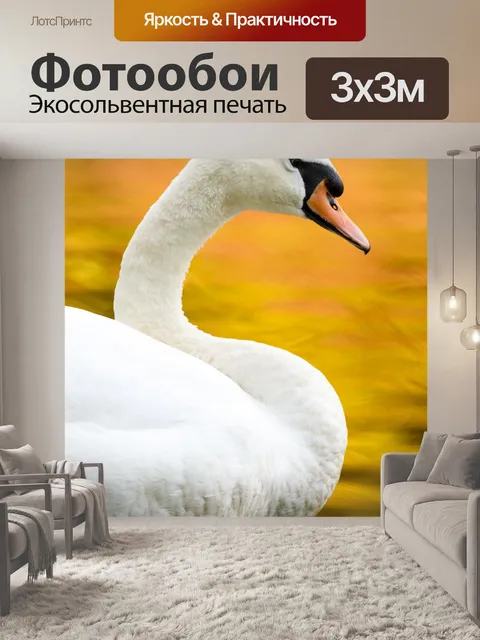 Фотообои Лебединое осенью