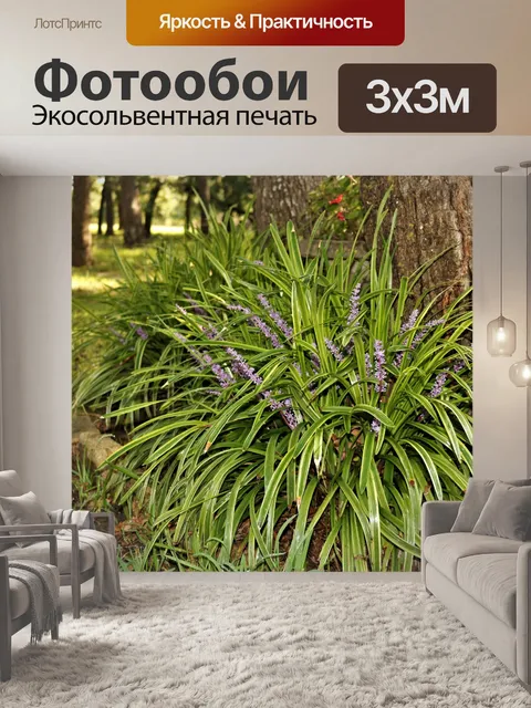 Фотообои Пестрая обезьянья трава