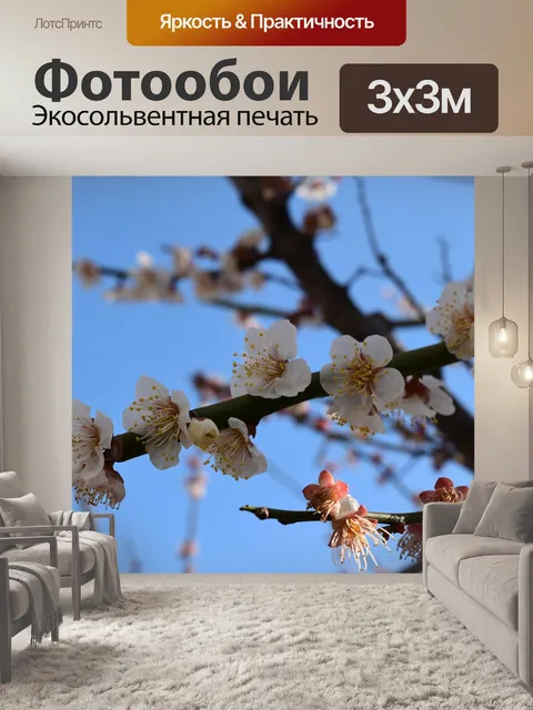 Фотообои Япония