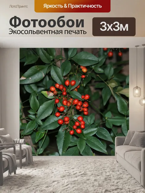 Фотообои Красные ягоды Нандины