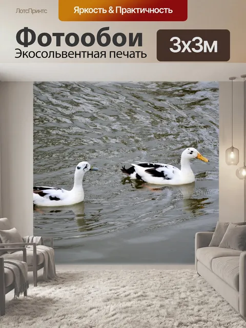 Фотообои Белое и черное