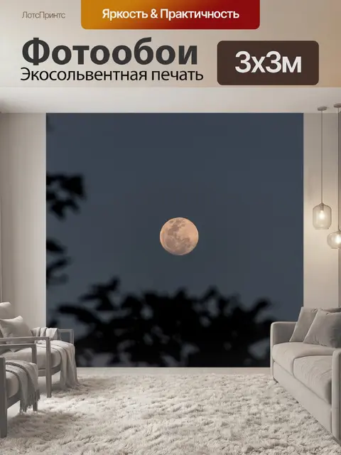 Фотообои Луна