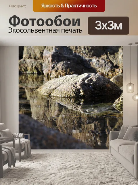Фотообои Светоотражающие Tidepool