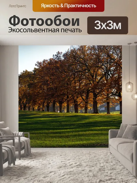 Фотообои Дубовая аллея