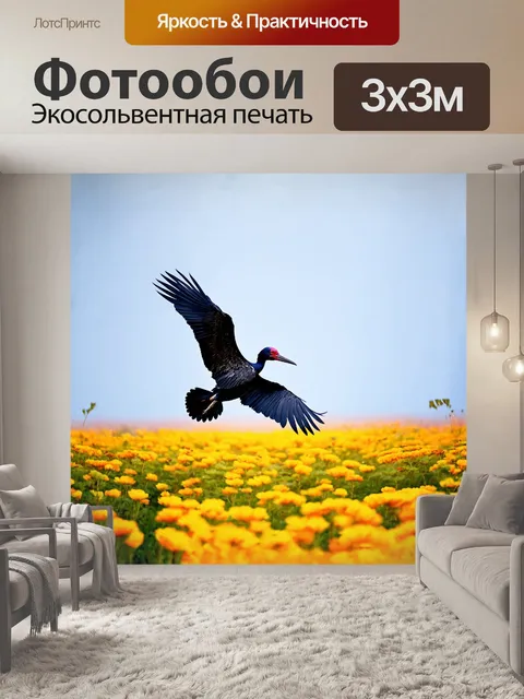 Фотообои северный лысый ибис в полете над полем с цветущими растениями