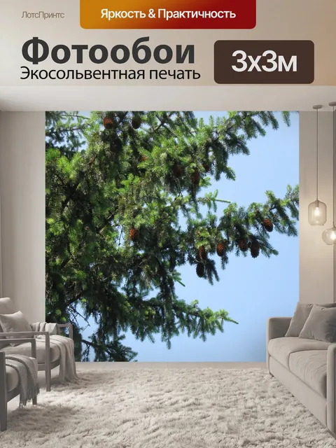 Фотообои Ukraine