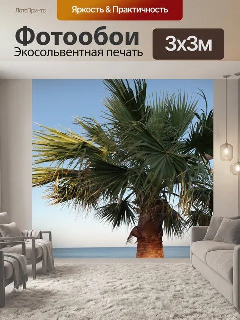 Фотообои Пальма